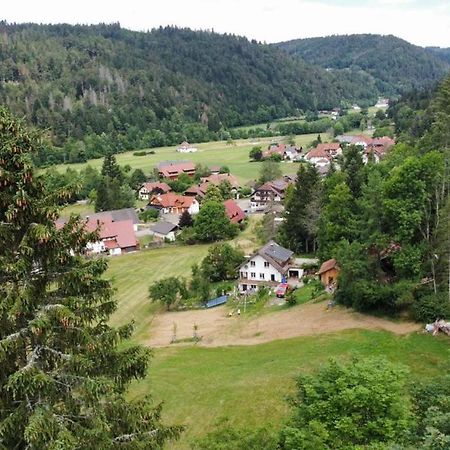 Appartement Zum Eichbuehl à St. Blasien Extérieur photo