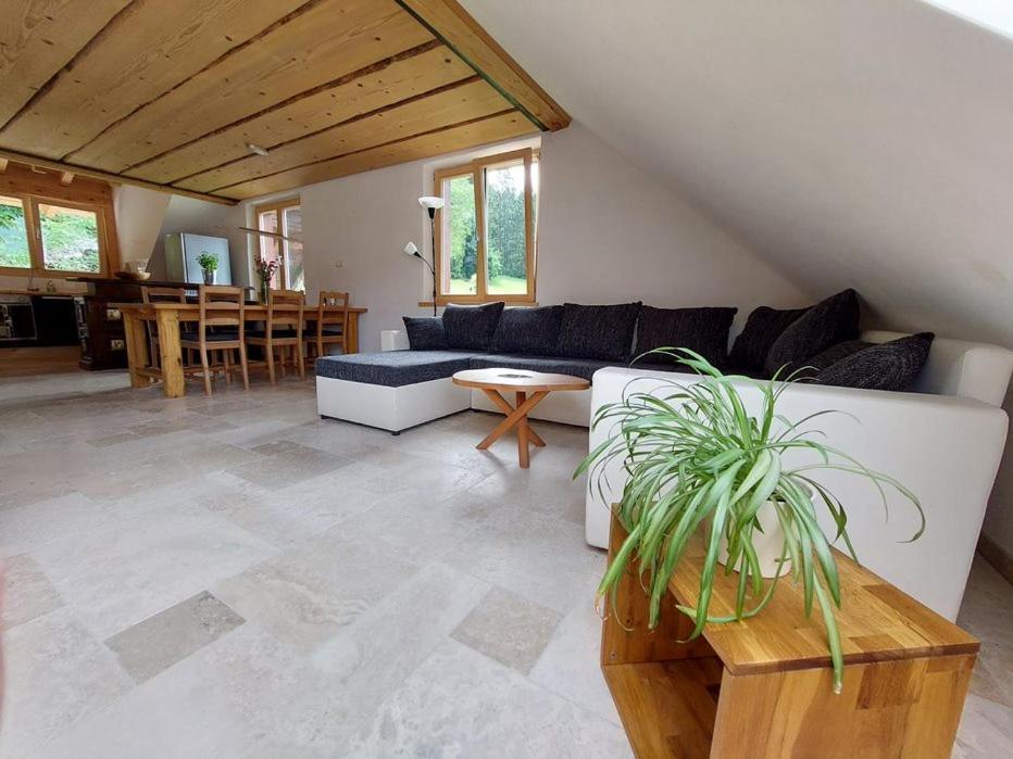 Appartement Zum Eichbuehl à St. Blasien Extérieur photo