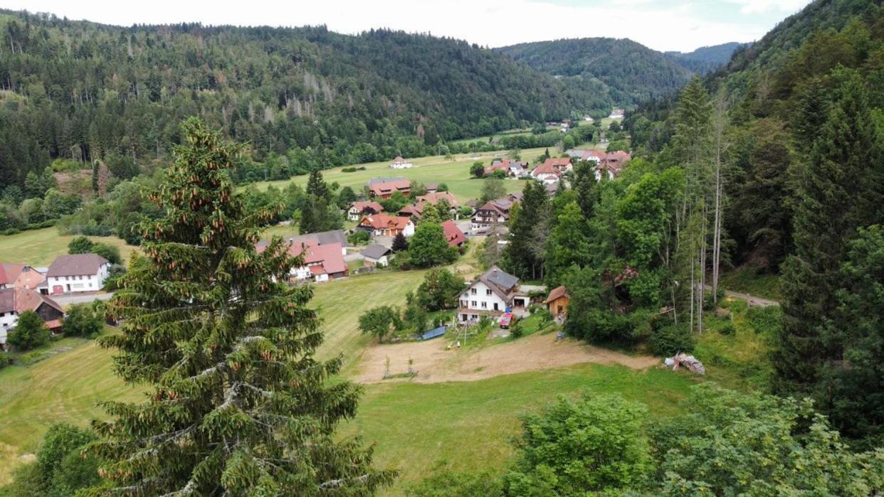 Appartement Zum Eichbuehl à St. Blasien Extérieur photo